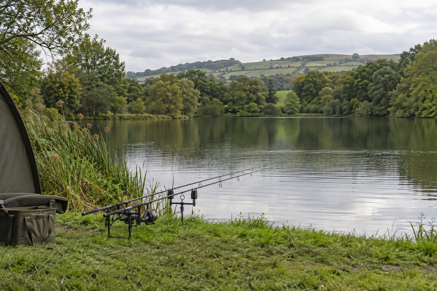 Carp rods on a grassy lakeside bank with trees and rolling green hills beyond