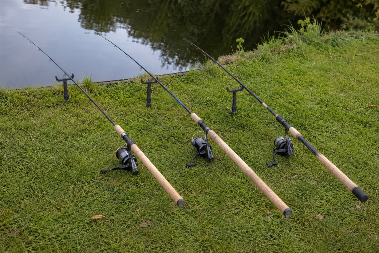 Float, feeder and general-purpose coarse fishing rods laid side by side on grass beside a calm lake