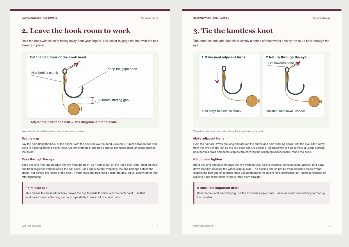 Two illustrated pages from the Carp Rigs Explained free sample