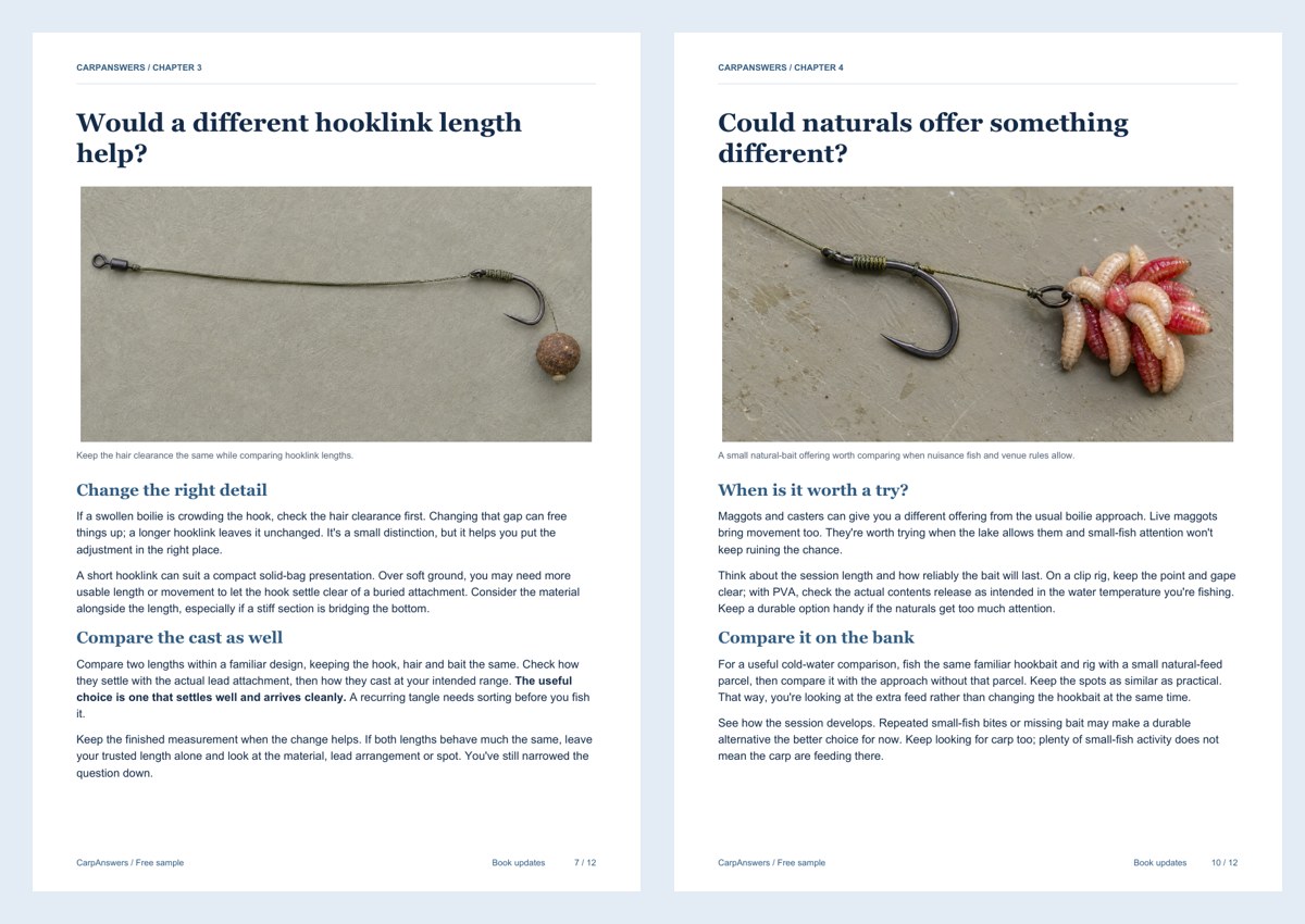Two pages from the free sample, showing a realistic hair rig and a maggot-clip rig with the accompanying tactical advice